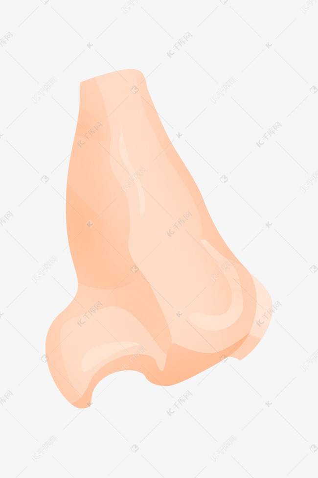 装饰鼻子图案插图