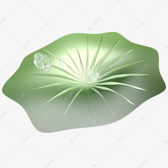 荷叶素材图片免费下载-千库网
