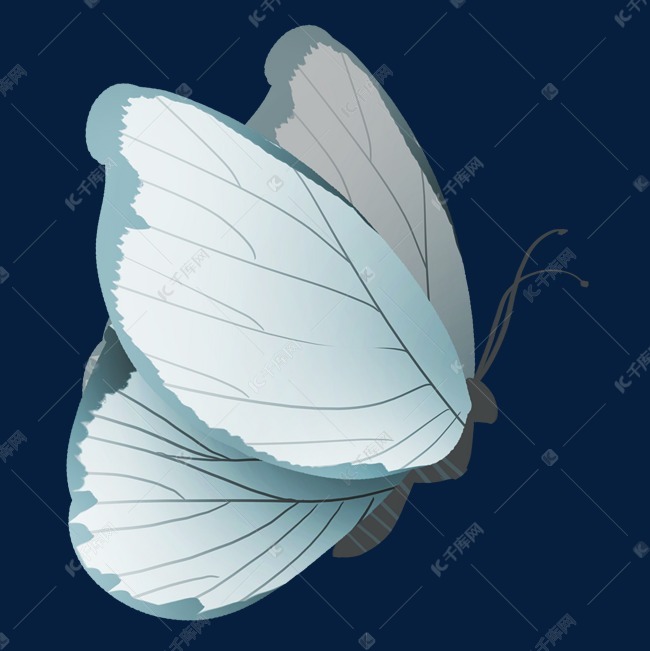 白色的卡通蝴蝶插画