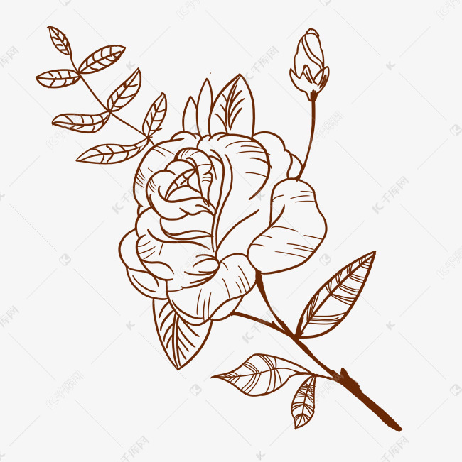 手绘线条玫瑰