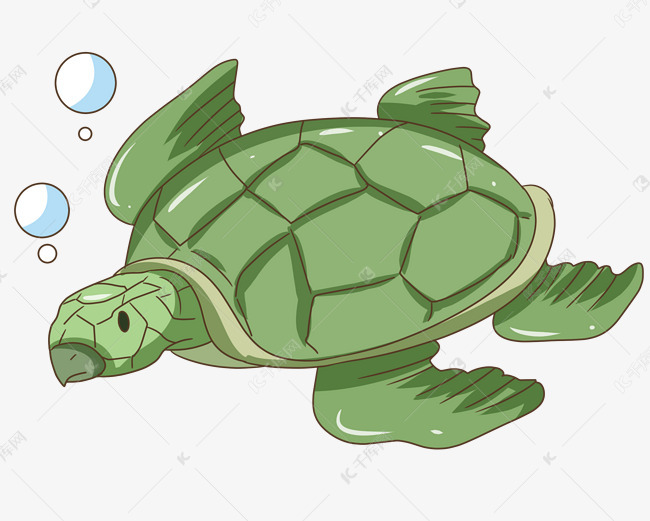 绿色海龟卡通动物