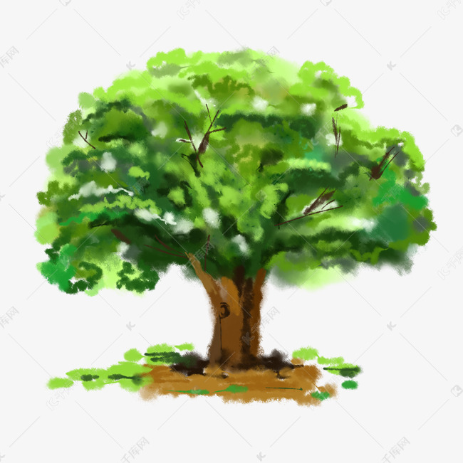 水彩橡树边框装饰画