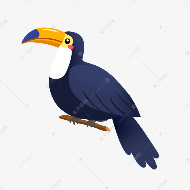 热带丛林大嘴鸟png免抠素材