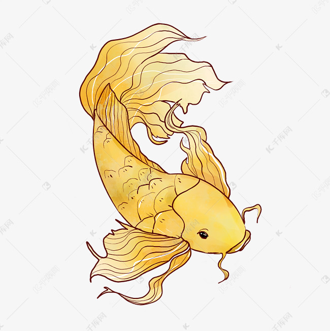 手绘水墨锦鲤
