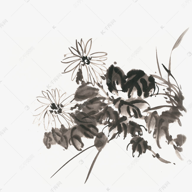 盛开的菊花水墨画png免抠素材