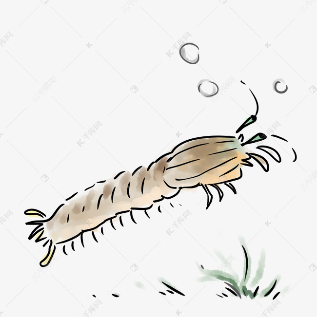 中国风传统水墨呆萌皮皮虾