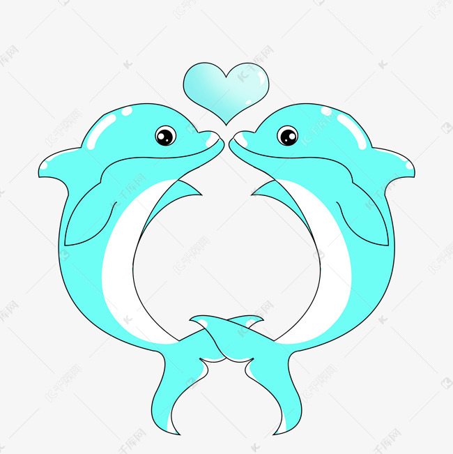 情侣海豚海洋生物