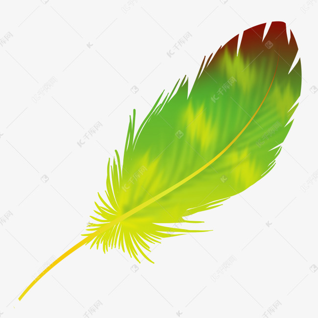 绿色漂浮羽毛插图
