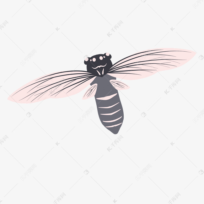 粉色翅膀春蝉插画