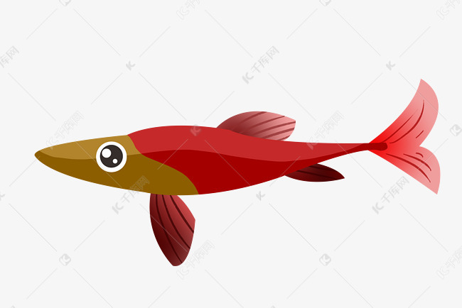 红色小鱼插画