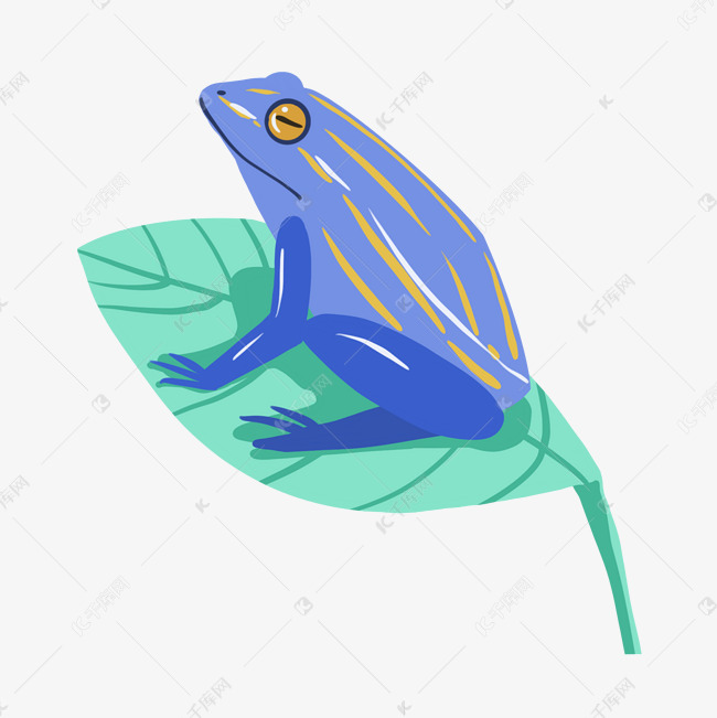 蓝色青蛙插画