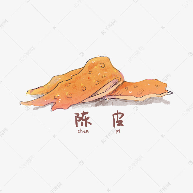 手绘彩色食材陈皮装饰画