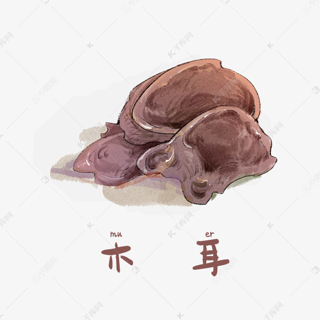 手绘彩色干货木耳装饰画