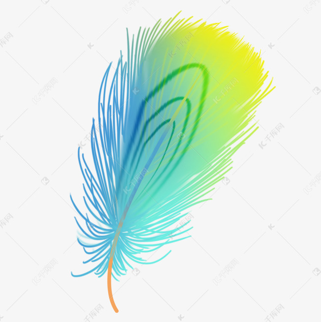 彩色炫彩羽毛插画