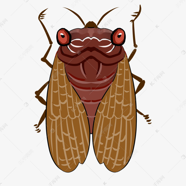 漂亮蝉的卡通插画