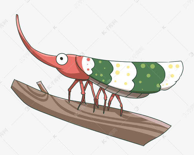 飞行昆虫龙眼鸡