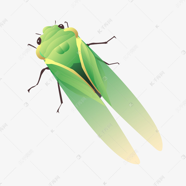 绿色夏日蝉图案