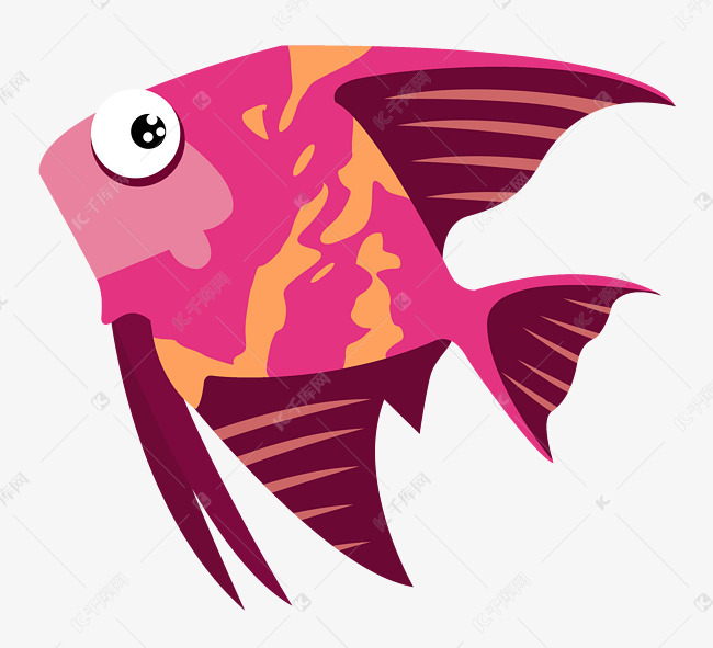 红色燕子鱼动物