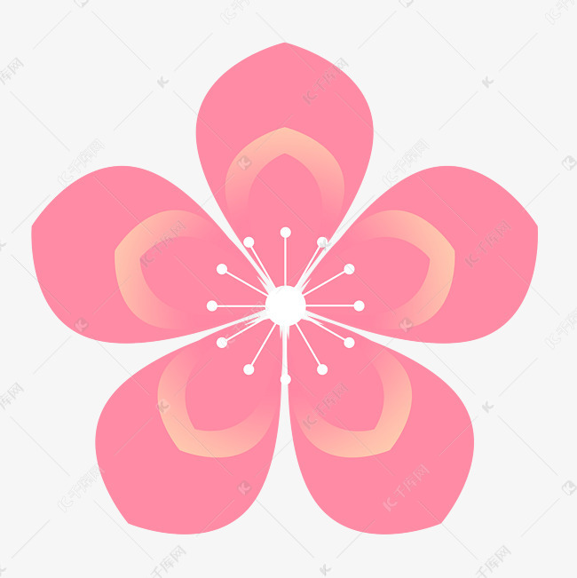 精美六瓣粉色樱花