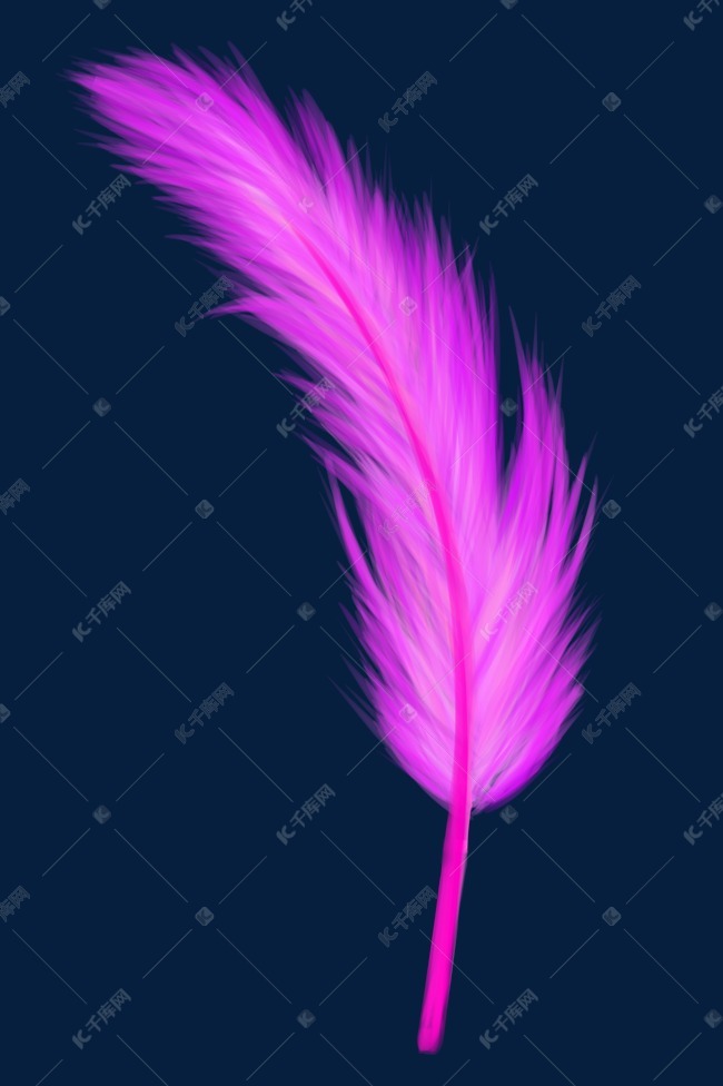 一根紫色羽毛