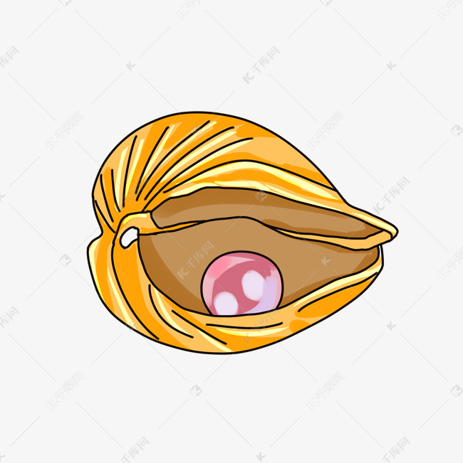 珍珠装饰河蚌