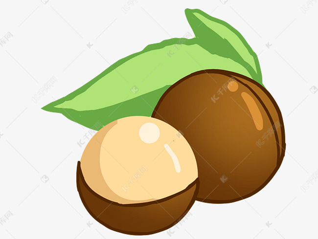 夏威夷果坚果