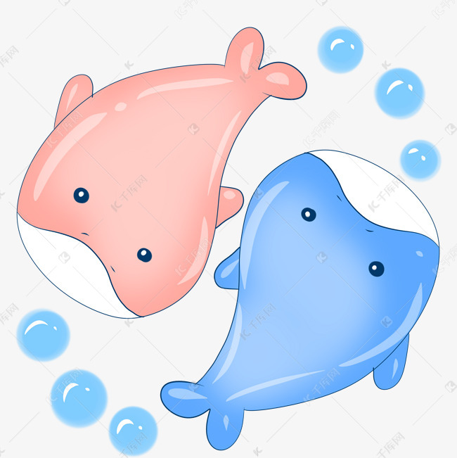 水生物情侣鲸鱼
