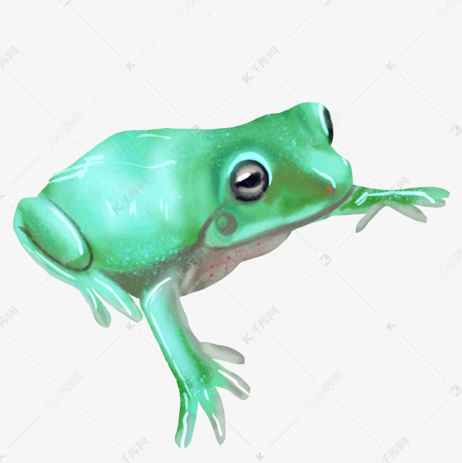 漂亮绿色青蛙插画