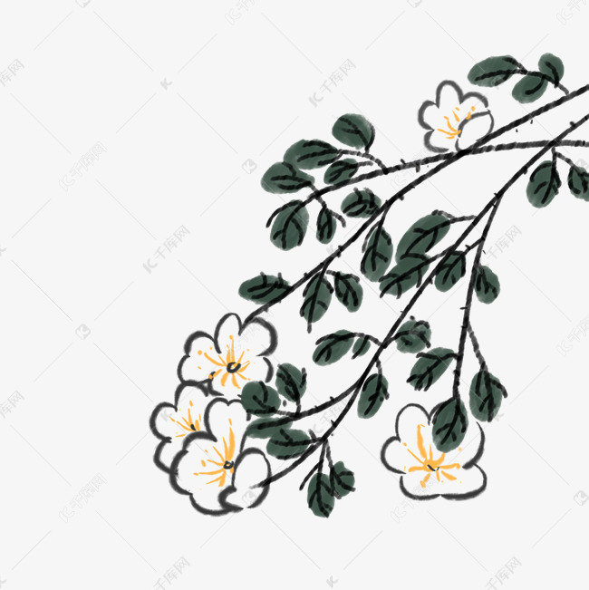 水墨白色花朵花枝