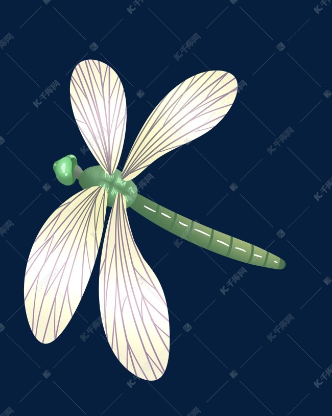 蜻蜓点水卡通插画