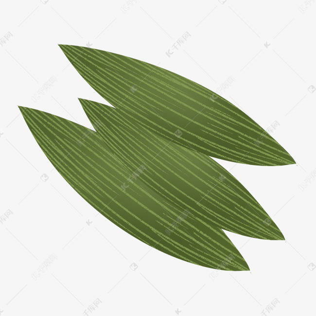 深绿色端午节手绘粽叶