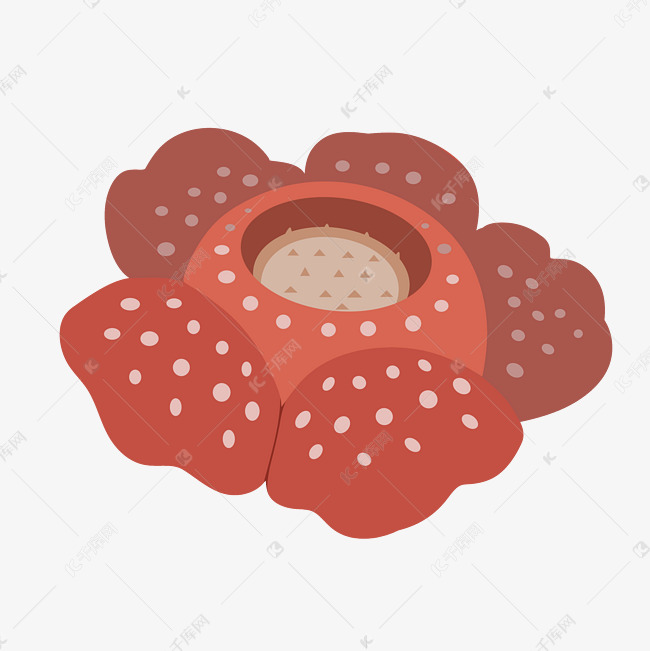 热带植物红色大王花