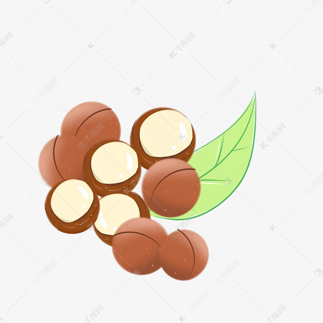 零食坚果夏威夷果