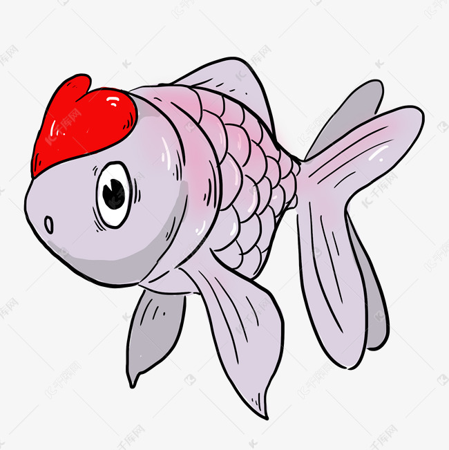 灰色淡雅金鱼元素