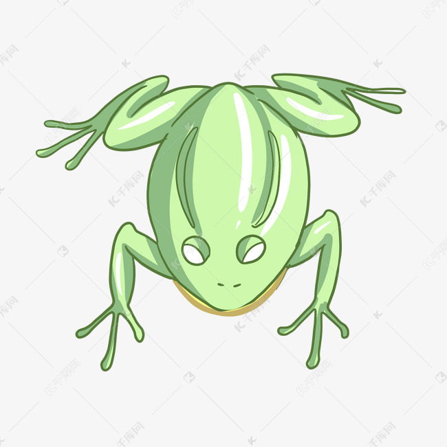 一只趴地上的青蛙