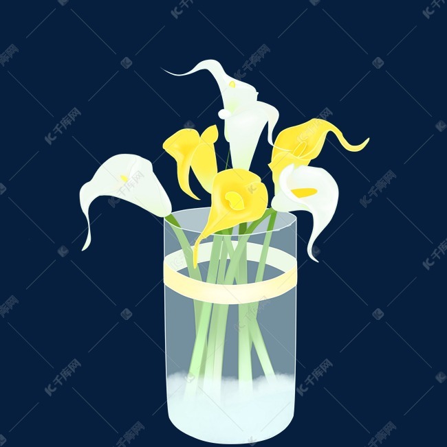 鲜花植物马蹄莲素材图片免费下载 高清装饰图案psd 千库网 图片编号