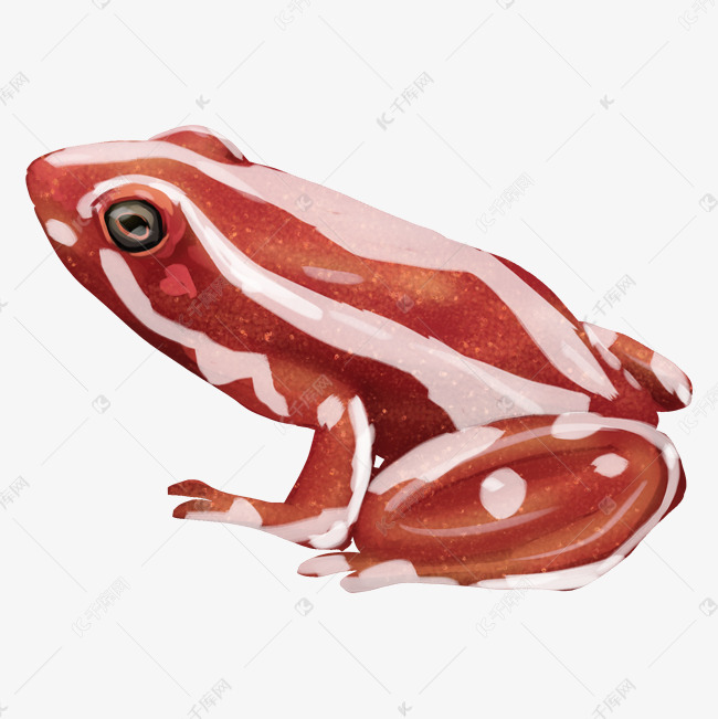 红色青蛙卡通插画