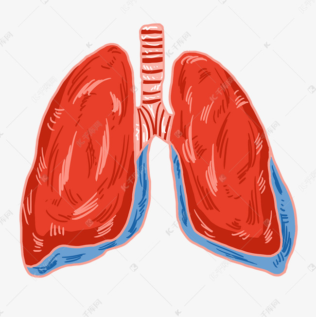 红色肺器官图案