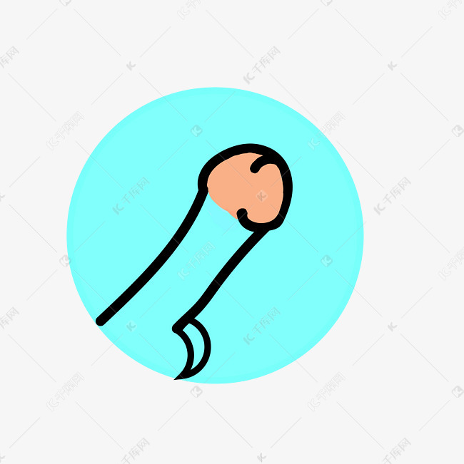 阴茎器官性男性