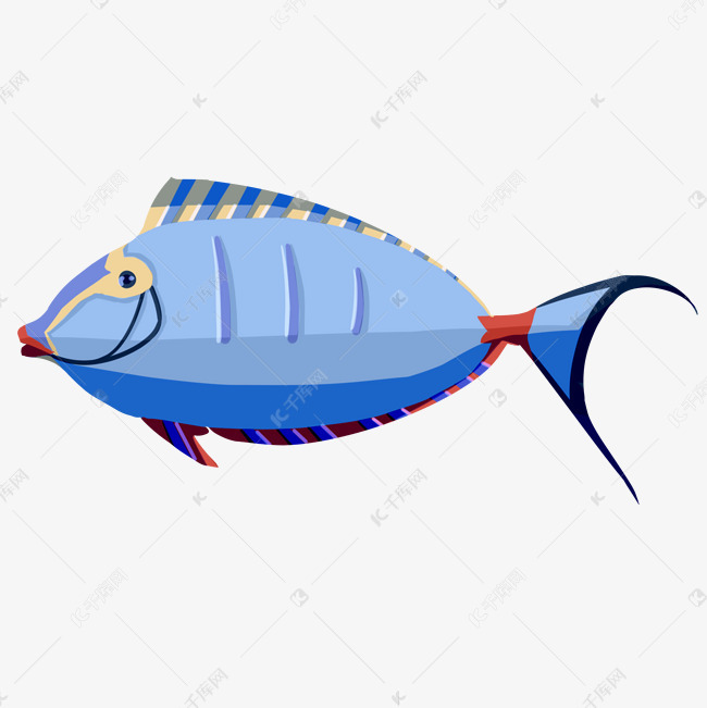 尖嘴鱼生物图案