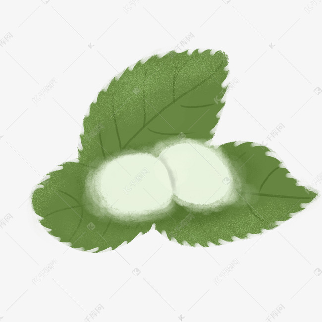白色毛茸茸蚕茧
