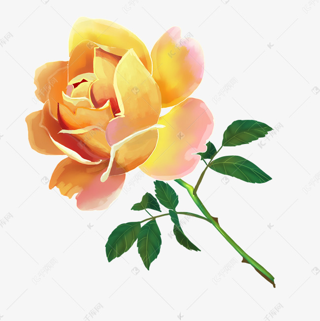 月季芍药牡丹花素材图片免费下载 高清装饰图案psd 千库网 图片编号