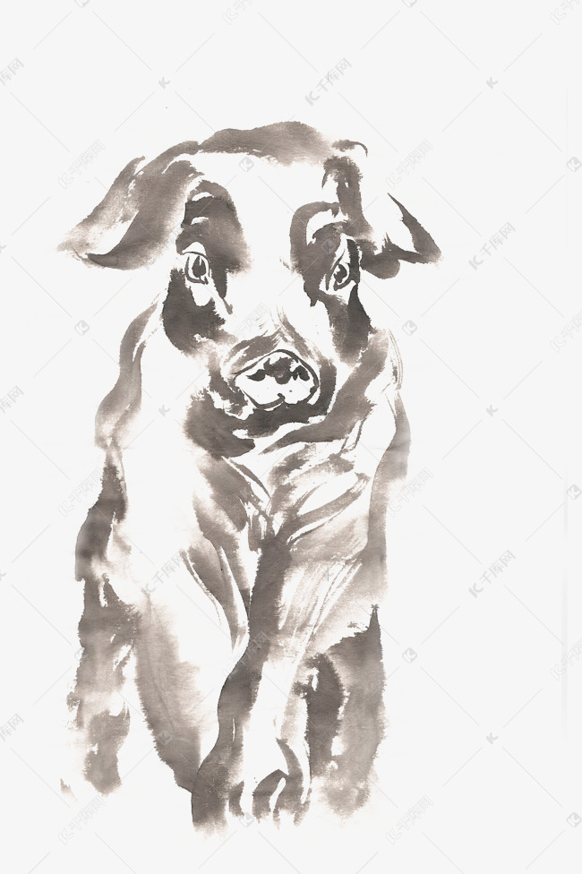 小猪的正面水墨画png免抠素材图片免费下载 高清卡通手绘psd 千库网 图片编号 小猪的正面水墨画png免抠素材图片免费下载 高清卡通手绘psd 千库网 图片编号
