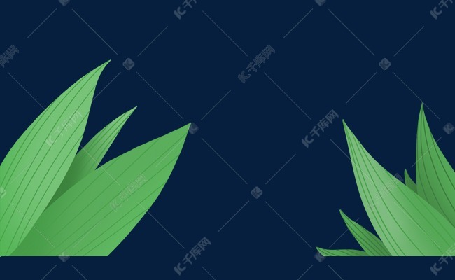 粽叶树叶图案