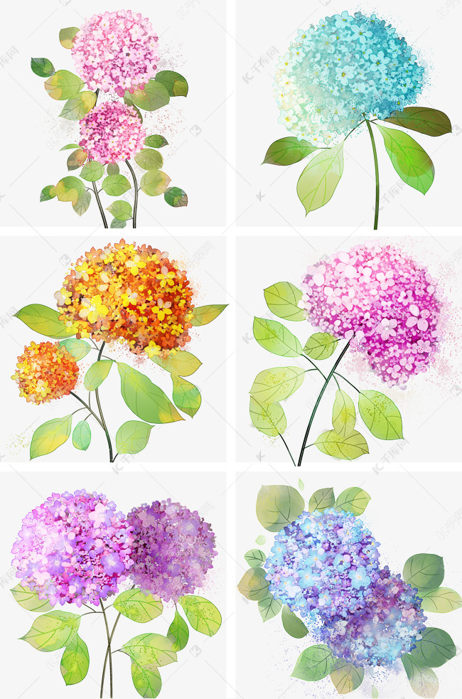 水粉绣球花合集唯美清新花丛