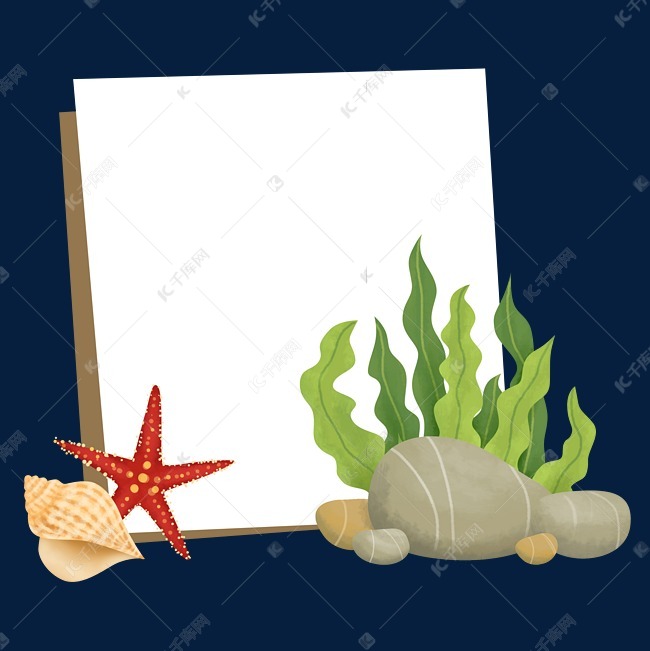 夏季海星装饰边框
