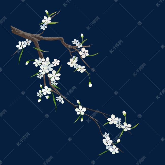 白色梨花花枝素材图片免费下载-千库网