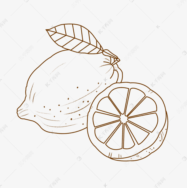 线描水果柠檬