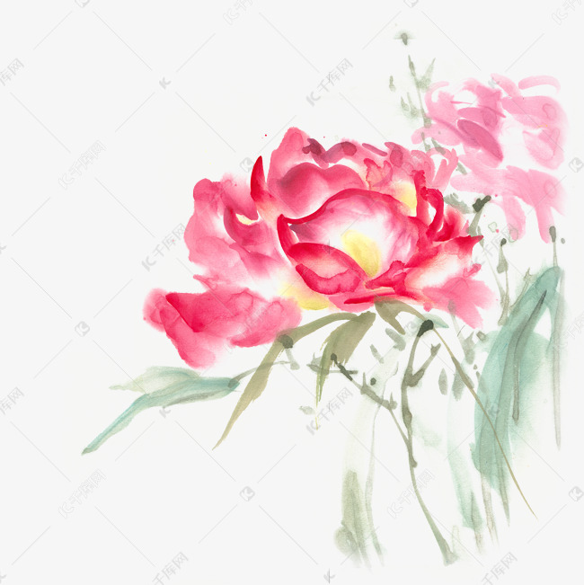 绽放的月季花水墨画