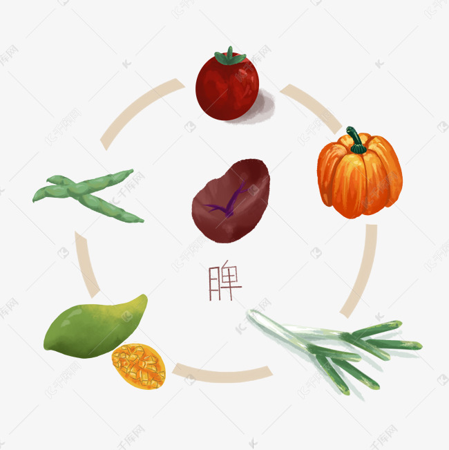 中医食疗健脾排毒